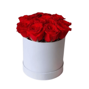 Cute box S