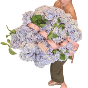 Ramo de Hortensias Naturales