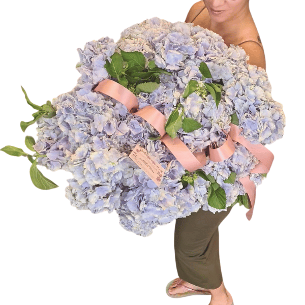 Ramo de Hortensias Naturales
