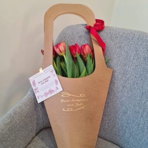 Bolsa de tulipanes - ROJAS