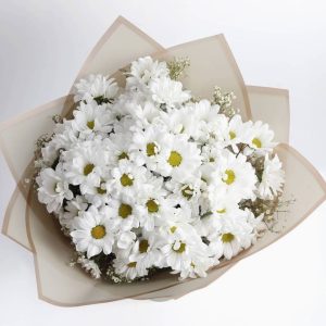 Ramo de flores Margaritas Maule 10 varas