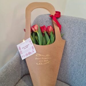 Bolsa de tulipanes - ROJAS