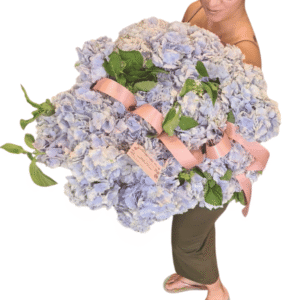 Ramo de Hortensias Naturales