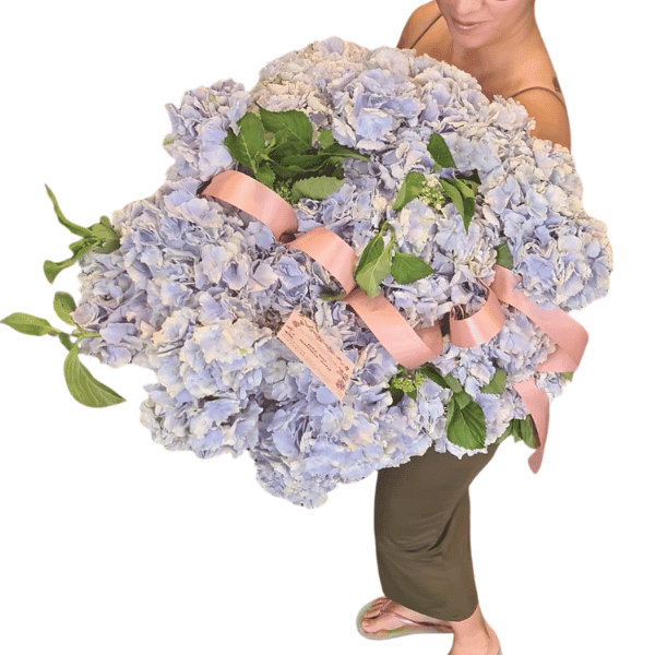 Ramo de Hortensias Naturales