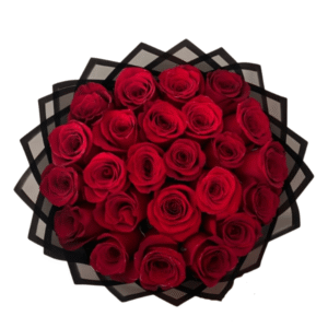 Ramo de 20 rosas Naturales