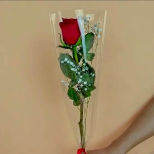 1 Rosa