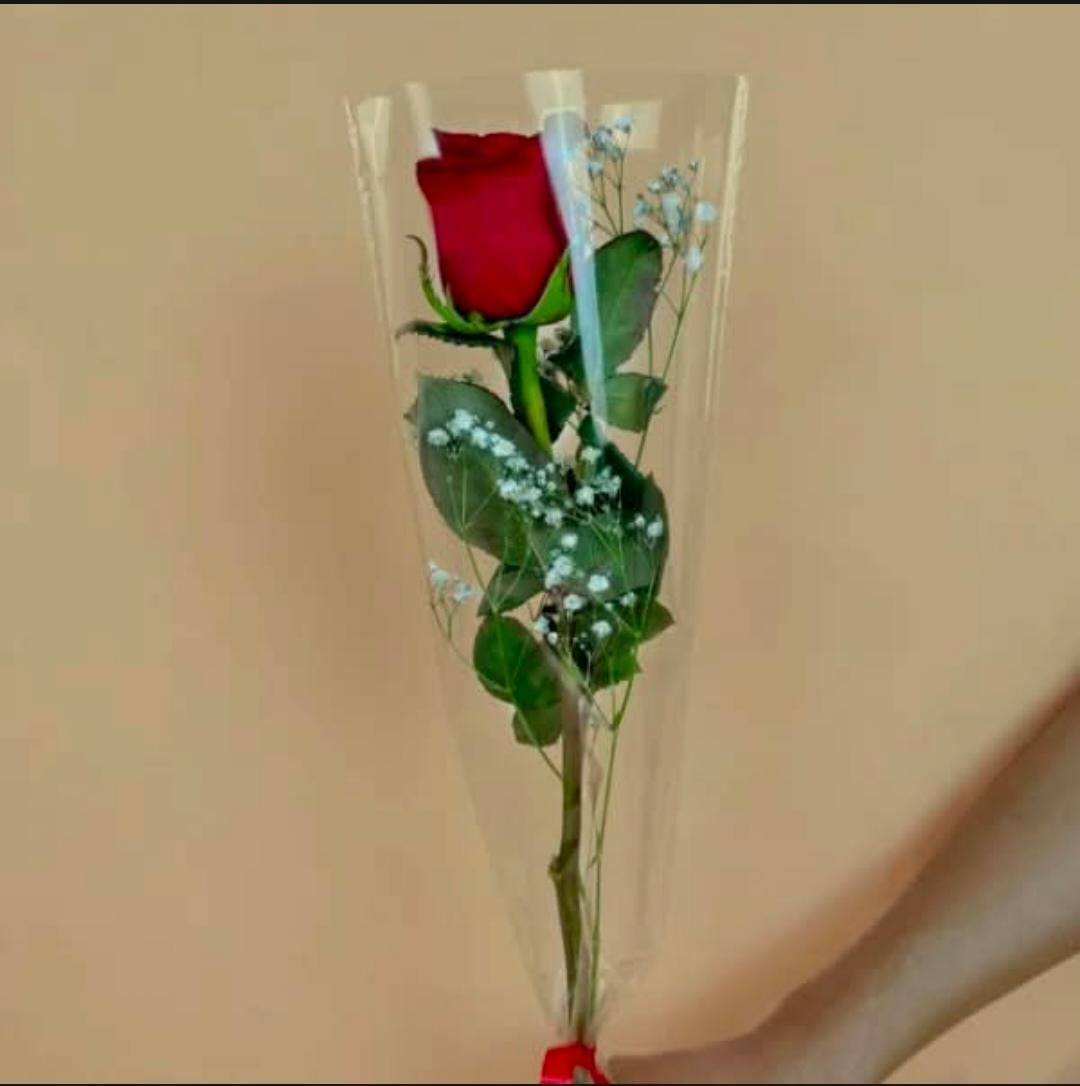 1 Rosa