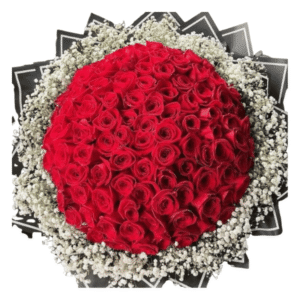 Ramo de 100 rosas Naturales con pypsophila