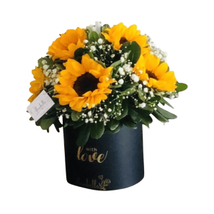 Box negro de Girasoles