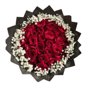 20 rosas Rojas  con Gipsofila