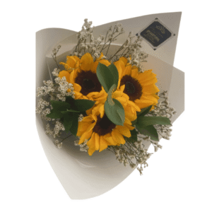 Trio de Girasoles