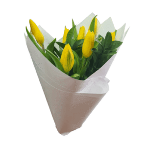 10 tulipanes amarillo