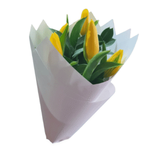 Ramo de 5 Tulipanes