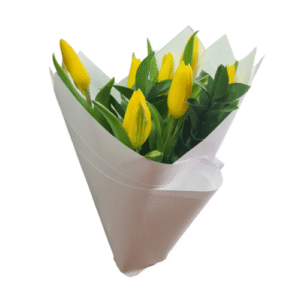 10 tulipanes amarillo