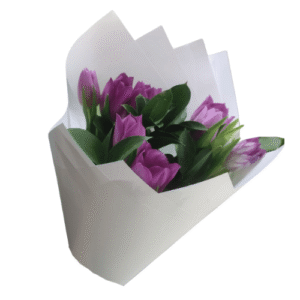 10 tulipanes (elegir color)