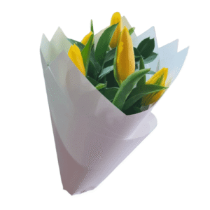 Ramo de 5 Tulipanes