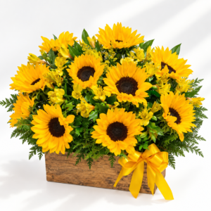 Canasto de 10 Girasoles base de madera más follaje